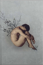 Céu Noturno Crivado De Balas