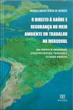 O Direito À Saúde E Segurança No Meio Ambiente Do Trabalho No Mercosul: Uma Proposta De Harmonização Legislativa À Proteção, Fiscalização E Efetividade Normativa