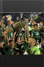 100% Alviverdes .(ebook).: Palmeiras É Tricampeão Da Libertadores.