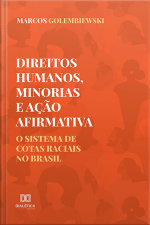 Direitos Humanos, Minorias E Ação Afirmativa: O Sistema De Cotas Raciais No Brasil