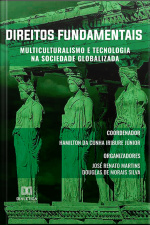 Direitos Fundamentais: Multiculturalismo E Tecnologia Na Sociedade Globalizada