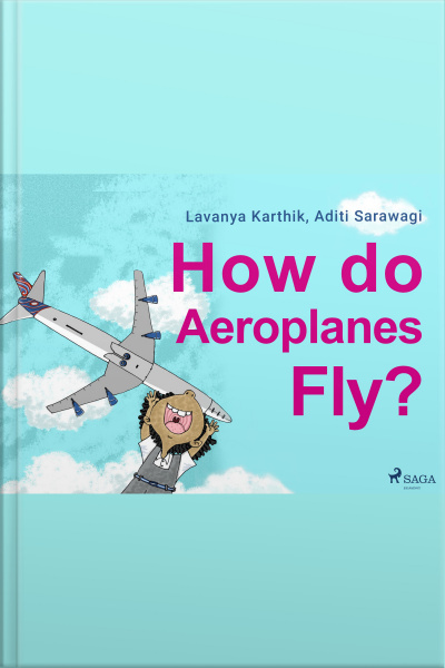 How Do Aeroplanes Fly?