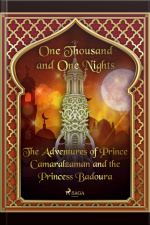 The Adventures Of Prince Camaralzaman And The Princess Badoura