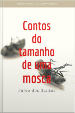 Contos Do Tamanho De Uma Mosca