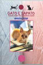 Gato e Sapato