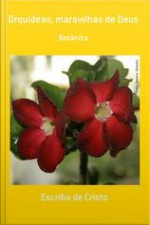 Orquídeas, Maravilhas De Deus: Botânica