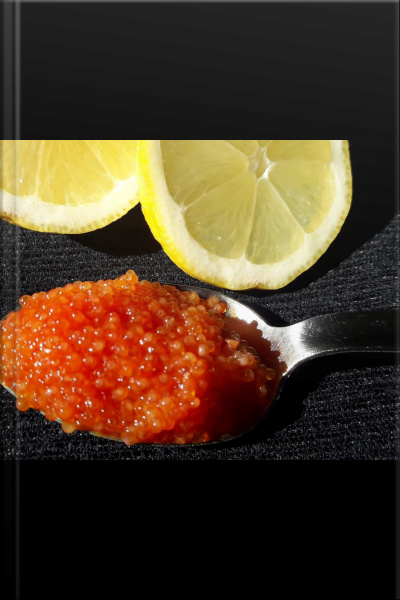 Molhos: Dando Moral Na Sua Salada!