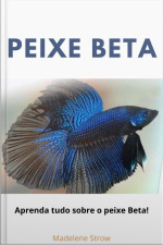 Peixe Beta: Aprenda Tudo Sobre O Peixe Beta