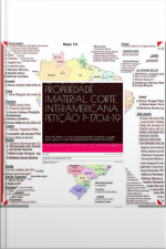 O Futuro Da Propriedade Imaterial, Corte Interamericana Petição P-1704-19