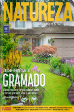 Revista Natureza Jardinagem  Paisagismo N° 407