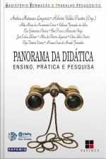 Panorama Da Didática: Ensino, Prática E Pesquisa