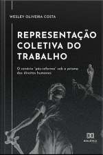 Representação Coletiva Do Trabalho: O Cenário pós-reforma Sob O Prisma Dos Direitos Humanos