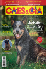 Cães e Cia Ed. 495 - Australian Cattle Dog: manual de como fazê-lo feliz