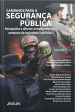Caminhos Para A Segurança Pública: Percepções E Olhares Entrelaçados No Anteparo Da Sociedade À Política