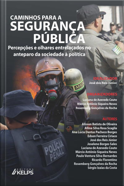 Caminhos Para A Segurança Pública: Percepções E Olhares Entrelaçados No Anteparo Da Sociedade À Política
