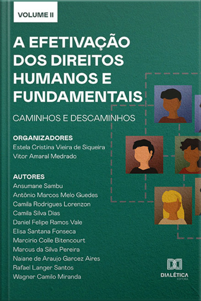 A Efetivação Dos Direitos Humanos E Fundamentais: Caminhos E Descaminhos: Volume 2
