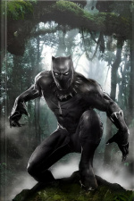 Os Segredos Do Pantera Negra