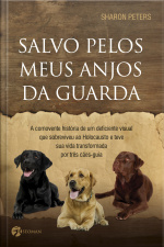 Salvo Pelos Meus Anjos Da Guarda