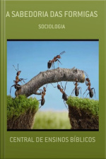 A Sabedoria Das Formigas: Sociologia