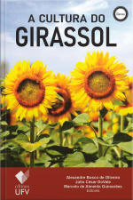 A cultura do girassol