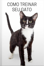 Como Treinar Seu Gato