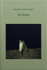Da Ilíada