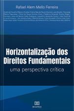 Horizontalização Dos Direitos Fundamentais: Uma Perspectiva Crítica