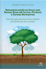 Remineralização De Solos Com Rochas Ricas Em Silício, Potássio E Outros Nutrientes: Uma Solução Para Solos Pouco Férteis E Envelhecidos De Cerrados?