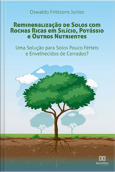 Remineralização De Solos Com Rochas Ricas Em Silício, Potássio E Outros Nutrientes: Uma Solução Para Solos Pouco Férteis E Envelhecidos De Cerrados?