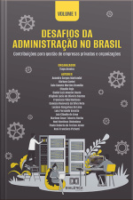 Desafios Da Administração No Brasil: Contribuições Para Gestão De Empresas Privadas E Organizações: Volume 1