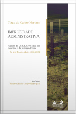 Improbidade Administrativa: Análise Da Lei 8.429/92 À Luz Da Doutrina E Da Jurisprudência