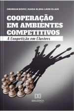 Cooperação Em Ambientes Competitivos: A Coopetição Em Clusters