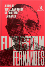 A Função Social Da Guerra Na Sociedade Tupinambá