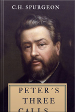 Peter´s Three Calls