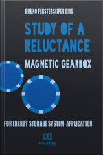 Study Of A Reluctance Magnetic Gearbox For Energy Storage System Application