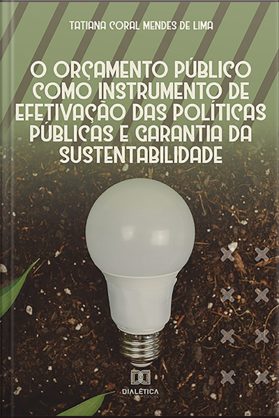 O Orçamento Público Como Instrumento De Efetivação Das Políticas Públicas E Garantia Da Sustentabilidade