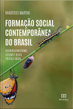 Formação Social Contemporânea Do Brasil: Desenvolvimentismo, Lulismo E Bloco Político-social