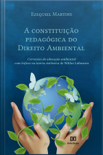 A Constituição Pedagógica Do Direito Ambiental: Correntes De Educação Ambiental Com Ênfase Na Teoria Sistêmica De Niklas Luhmann