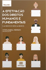 A Efetivação Dos Direitos Humanos E Fundamentais: Caminhos E Descaminhos: Volume 1