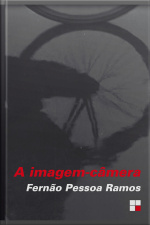A Imagem-câmera