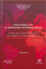 Coletânea Do Vi Seminário Internacional Tutelas À Efetivação De Direitos Indisponíveis: Volume 2