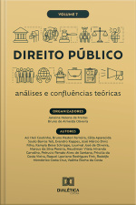 Direito Público: Análises E Confluências Teóricas: - Volume 7