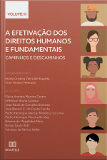 A Efetivação Dos Direitos Humanos E Fundamentais: Caminhos E Descaminhos: - Volume 3