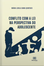 Conflito Com A Lei Na Perspectiva Do Adolescente