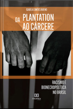 Da Plantation Ao Cárcere: Racismo E Bionecropolítica No Brasil
