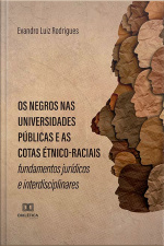 Os Negros Nas Universidades Públicas E As Cotas Étnico-raciais: Fundamentos Jurídicos E Interdisciplinares