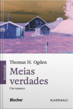 Meias Verdades: Um Romance