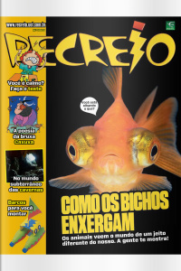 Revista Recreio - Edição 1069