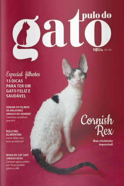 Pulo do Gato Ed. 152 - Cornish Rex: mais chicletinho impossível!