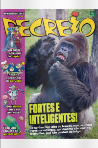 Revista Recreio - Edição 1081